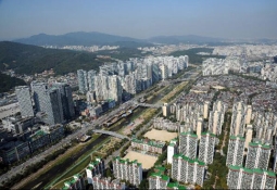 천당 위 분당이었는데… 집값 '번지점프'