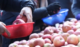 설 지나도 안 꺾이는 농축산물 가격…정부, 민생물가 TF 가동