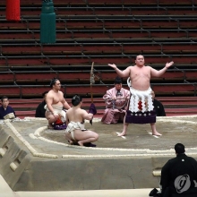 스모는 계속된다