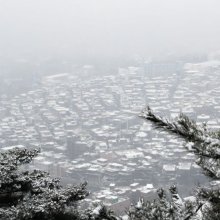 [포토] 서울 주택가에 내려앉은 눈