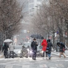 [포토]눈 내리는 서울