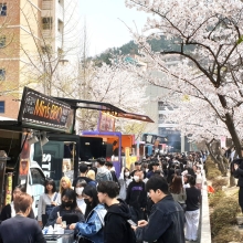 동의대, ‘벚꽃엔딩’ 4년만에 다시 휘날리는 캠퍼스 벚꽃 축제