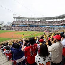 야구팬 83% "현 상황 심각"…3000톤 넘는 야구장 쓰레기 분리수거 어떻게 하나