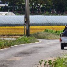 [이미지 다이어리] 여보, 오늘은 내가 운전할께