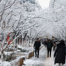 [포토] 눈내린 출근길