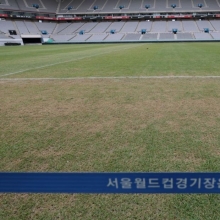 문체부, 프로축구연맹과 K리그 축구장 잔디 상태 전수조사