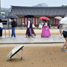 [이미지 다이어리]고궁에서 우중 한 컷…휴대전화도 우산이 필요해 폰은 소중하니까