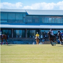 대한폴로연맹, '2025 한일 친선 경기' 성황리 개최