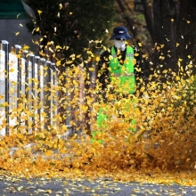 [포토] 화려한 가을을 남기고