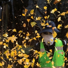 [포토] 가을이 남긴 흔적