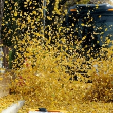 [포토] 가을이 남긴 흔적