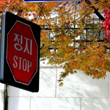 [포토] '스톱' 가을아~