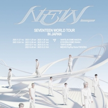 세븐틴, 도쿄·오사카 등 일본 4대 돔 투어