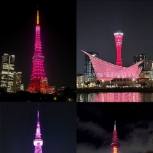 블랙핑크, 日 팝업 10만명 돌파…랜드마크 4곳 '핑크빛'