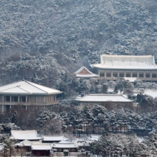 [포토] 눈 덮힌 청와대