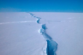 "남극 빙하 계속 녹을 경우, 생태계 균형 붕괴될 수 있어" 경고