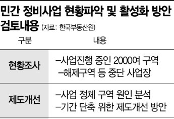 [단독] 정부도 민간정비사업 활성화 만지작…"전국 2000곳 현황파악"