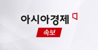 [속보]법원, 백현동 관련 알선수재·이재명 재판 위증 혐의 사업가 영장 기각