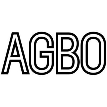 [뉴스속 기업]넥슨이 선택한 AGBO