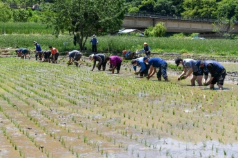 농번기 대비해 외국근로자 3만8000명 배정 '역대 최대'