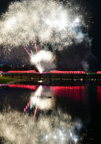 전남 장성 황룡강 가을꽃축제 ‘대박 조짐’…첫날 6만명