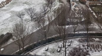 [뉴욕다이어리]드디어 눈이 내렸다