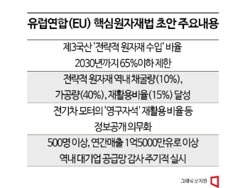 '유럽판 IRA' 리스크 대응…정부·기업 머리 맞댄다