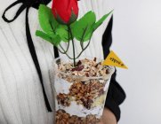 [드드림] 꽃을 품은 화분 케이크