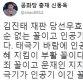 신동욱 “김진태 무죄, 태극기가 인공기 이긴 것”