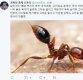 신동욱 "추석 차례상, 붉은 독개미…꿀 먹은 벙어리 대통령"