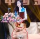 판빙빙 남동생, 한국서 데뷔 준비 중…판빙빙, 86억 다이아몬드 반지 재조명