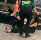 [단독]“내 몸에 손대지마”…경찰 4명 ‘만취 여성’ 대응 논란