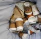 무더기로 버려지는 커피숍 종이컵…플라스틱컵 규제 1년의 명암(종합)