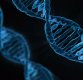 인종 간 유전적 '지능'차이, 정말 존재할까?...'DNA의 아버지'가 일으킨 우생논란