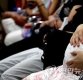 "임산부 아내가 지하철서 폭행 당했다" 임산부석 폭행 피해자 남편 '분통'