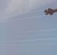 [포토]'F-35A 급선회 비행'