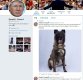 트럼프, 알바그다디 제거 작전서 공 세운 군견 공개…"아주 멋진 개"