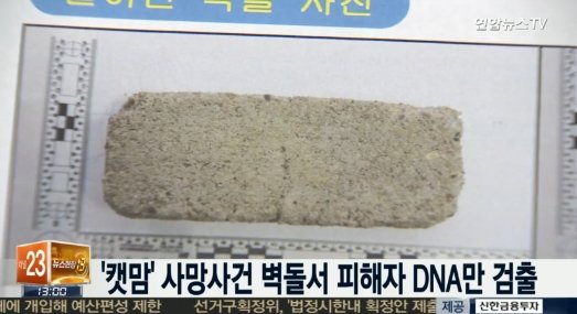 '캣맘' 사건 벽돌, 정밀감정 결과 피해자 DNA만 검출