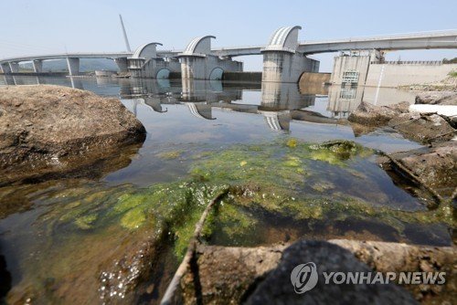 박창근, 4대강 정책감사에 "터널을 막 통과한 기분…혁명적 조치"