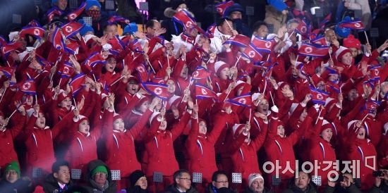  인공기 흔드는 북한 응원단