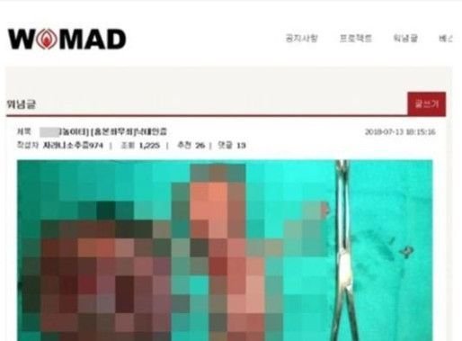 일베 박카스남·몰카·살해 예고…광기 치닫는 일베·워마드