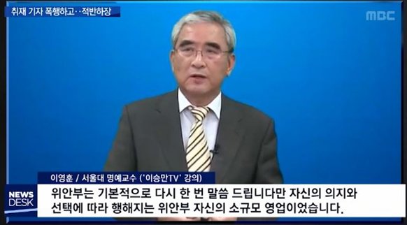 "위안부는 소규모 영업" 이영훈 서울대 교수, '자발적 위안부' 발언 논란