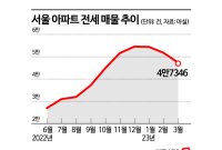 역전세에 놀란 집주인 보증금 깎자…서울 매물 5만건→4만건 확 줄었다