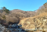 "커피 한잔 보다 싼 땅값" 3000원에 경매 나온 양산 농지