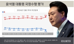 내란혐의 尹 지지율 10%대로 추락…국민의힘 동반하락