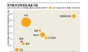 "판교 카페선 헤드헌터들 명함 돌리더라"…'많아야 1억' 받는 한국인에 러브콜[빅테크에 뺏기는 AI인재②]