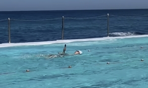 "The World Is Going Crazy": Woman Spotted at Pool Doing Backstroke While Holding a Smartphone