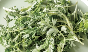 한국에선 아무데나 자라는 흔한 풀인데…외국에서는 '귀한 몸'