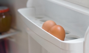 냉장고 안이어도 달걀 두면 안 됩니다…식중독 부르는 습관