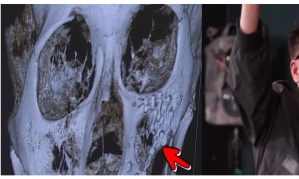 "얼굴에 철심 가득" "전치 8주"…이상민, 과거 폭행사건에 입 열었다